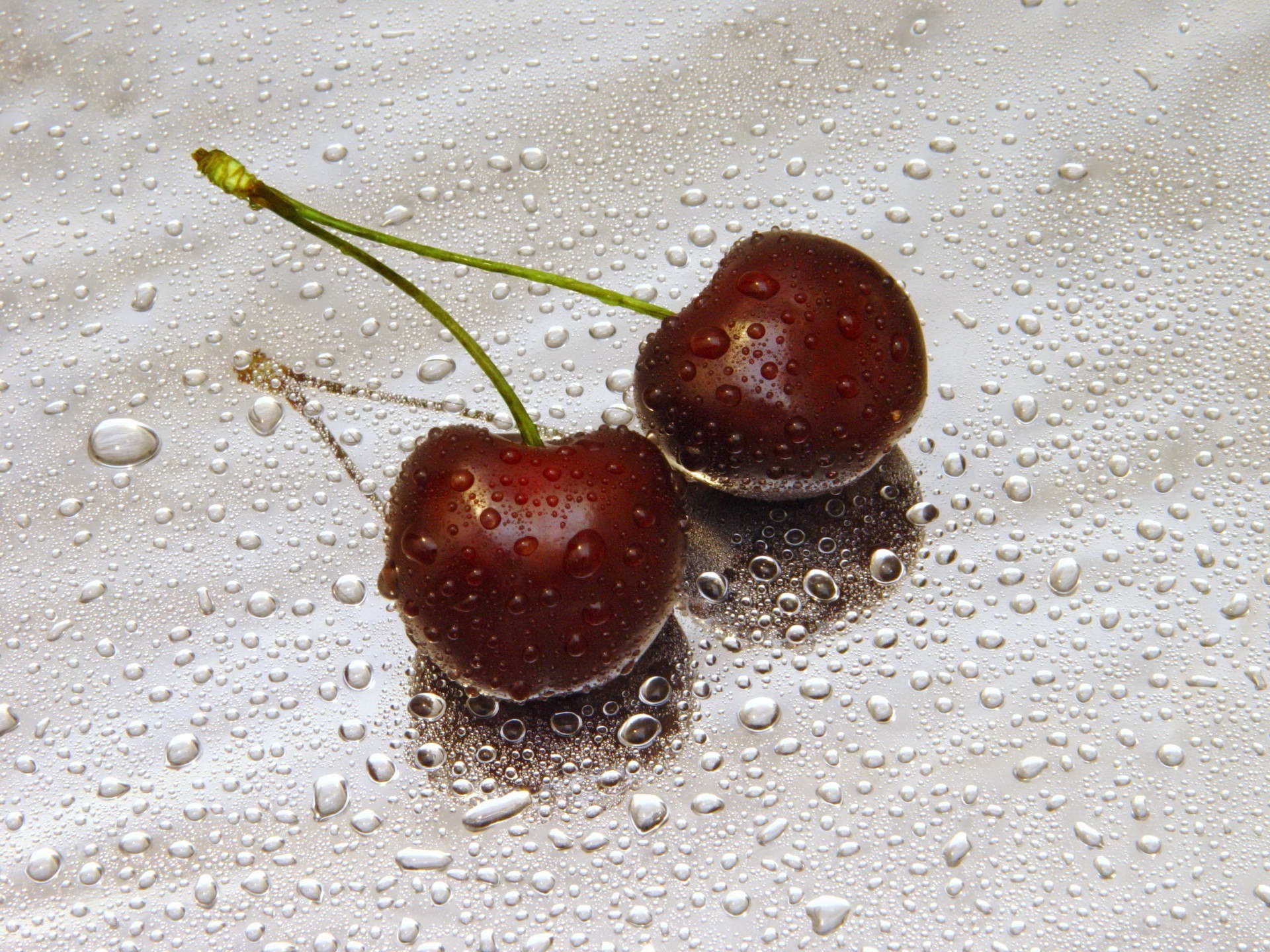 Cherries with water droplets