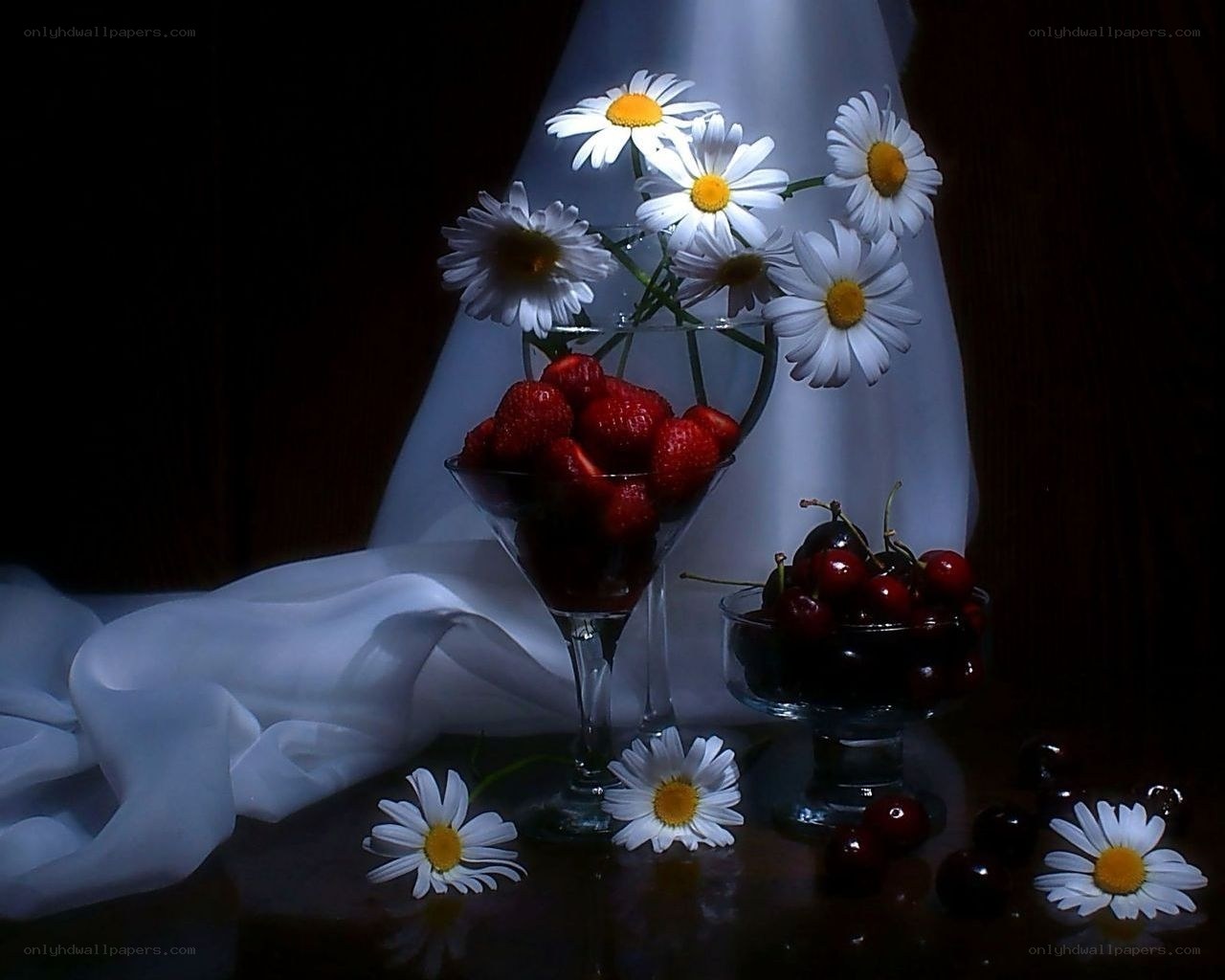 Cherry and daisy still life
