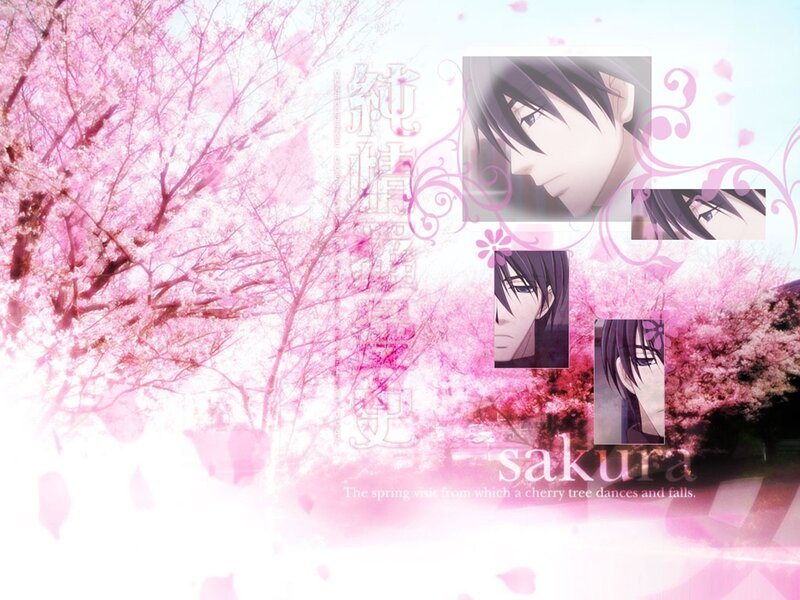 cherry blossom anime collage