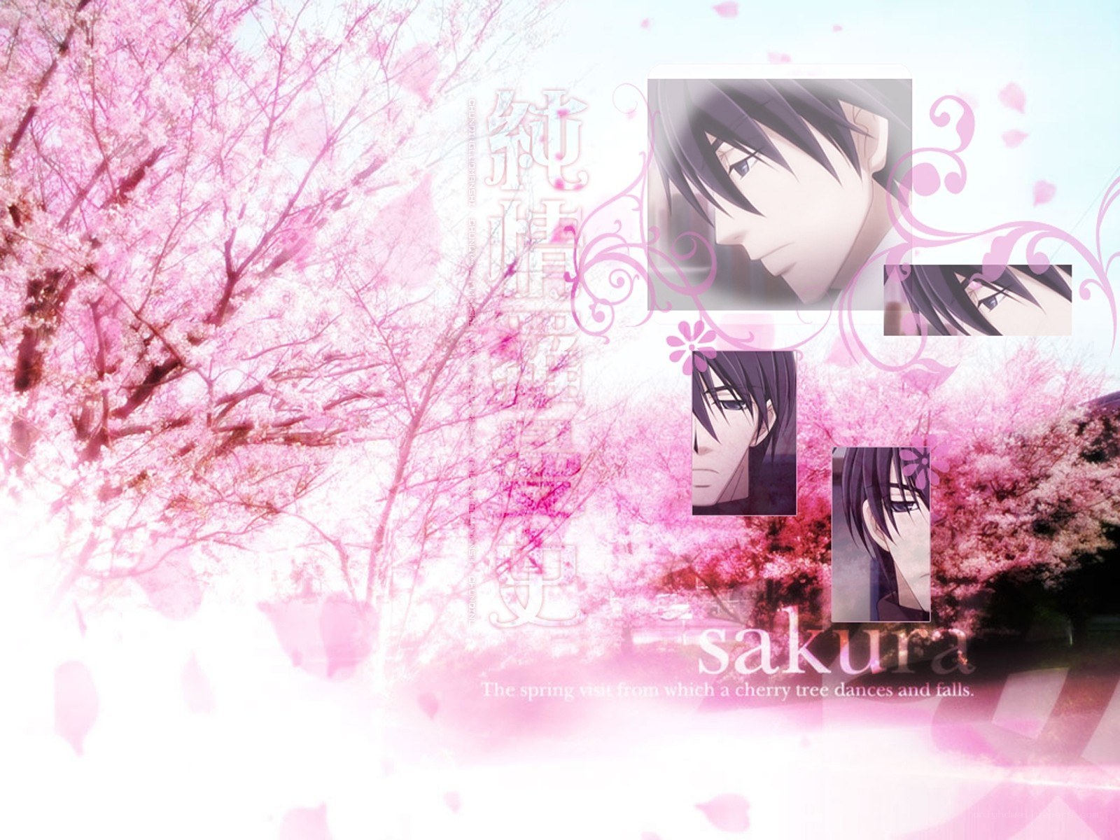 cherry blossom anime collage