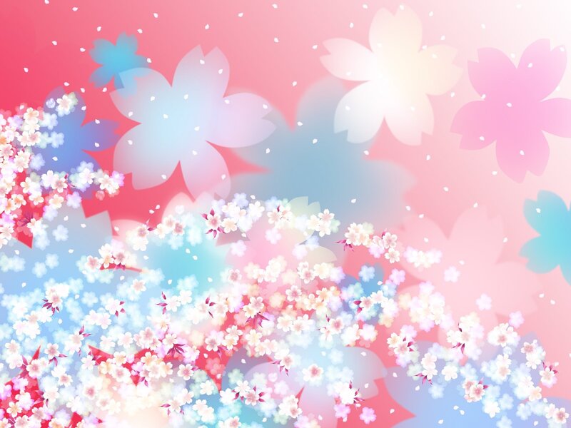Cherry blossom background