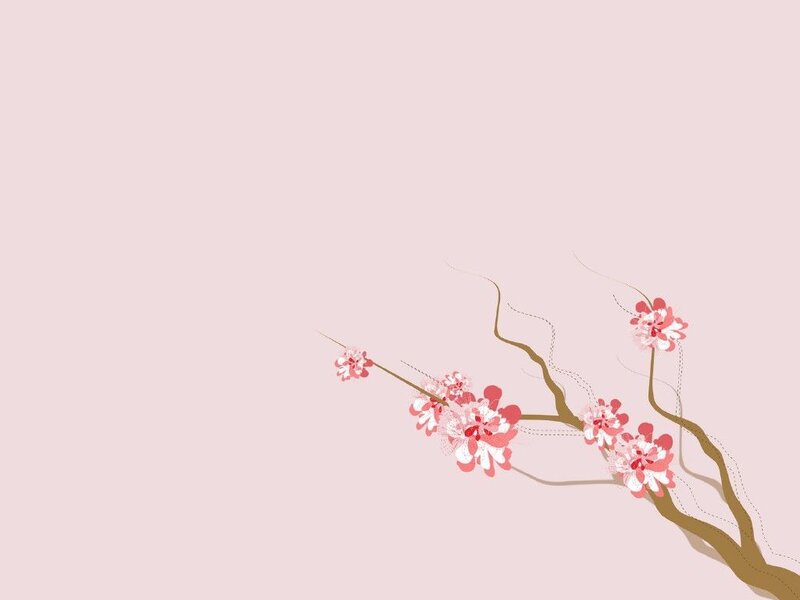 cherry blossom branch