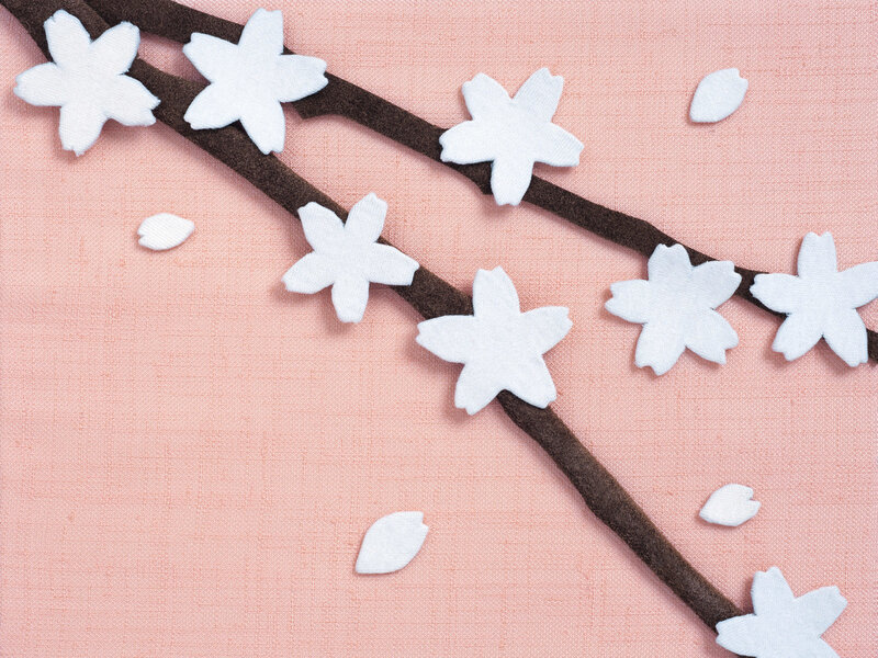 cherry blossom branch art