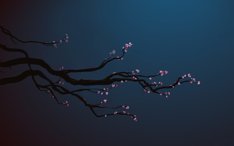 cherry blossom branch at dusk