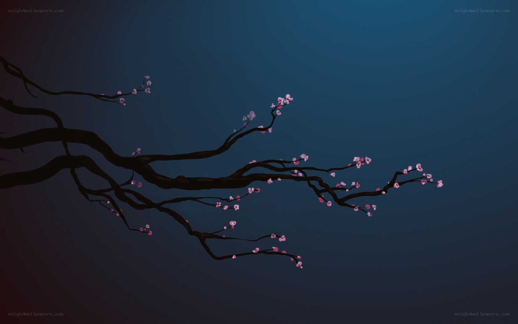 cherry blossom branch at dusk