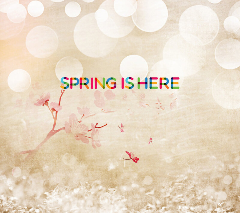 Cherry Blossom Branch — Beige