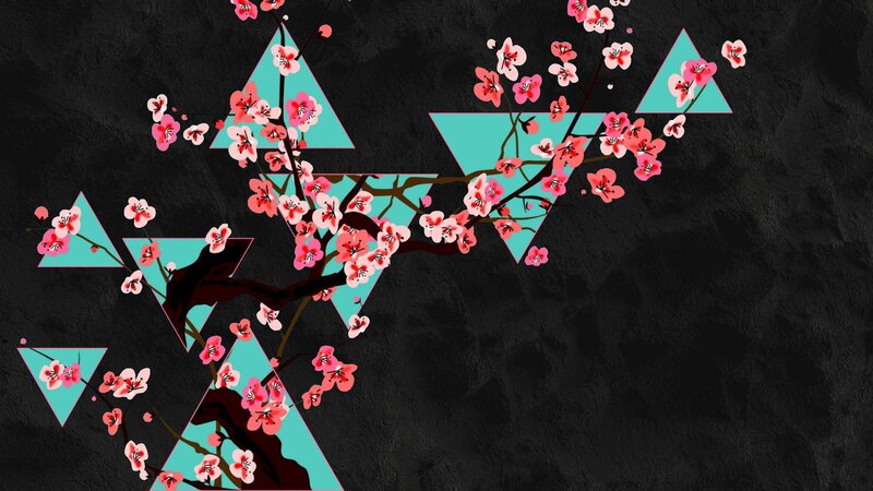 Cherry Blossom Branch — Black, Calm, Spring