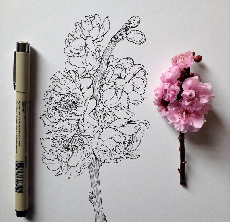 Cherry Blossom Branch — Black, Calm