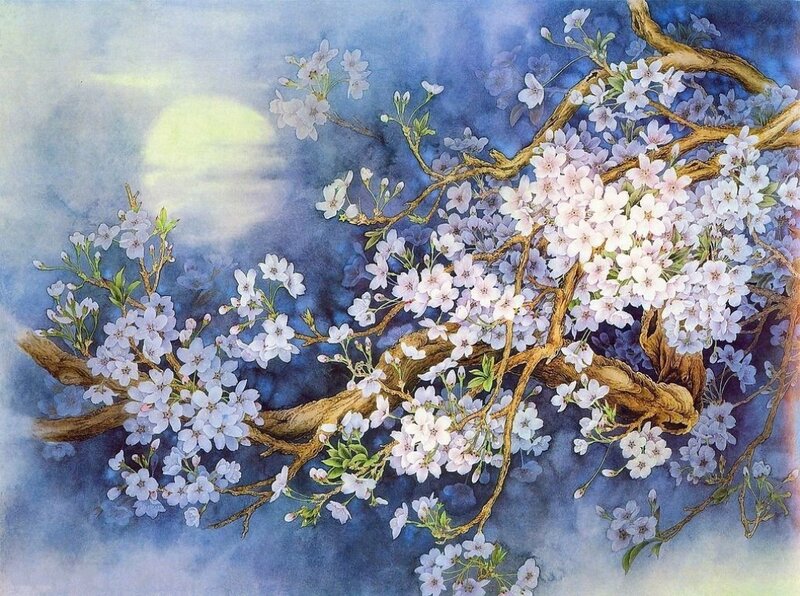 Cherry Blossom Branch — Blue, Serene, Night