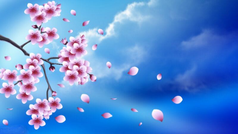 Cherry Blossom Branch — Blue, Serene, Spring, Digital Art, Flowers