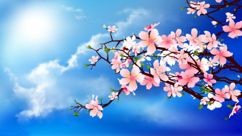 Cherry Blossom Branch — Blue, Serene, Spring, Digital Art, Sky