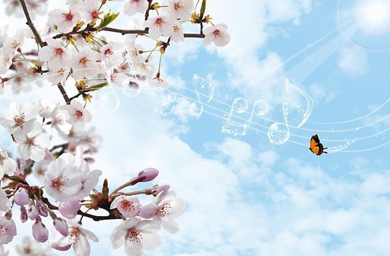 Cherry Blossom Branch — Blue