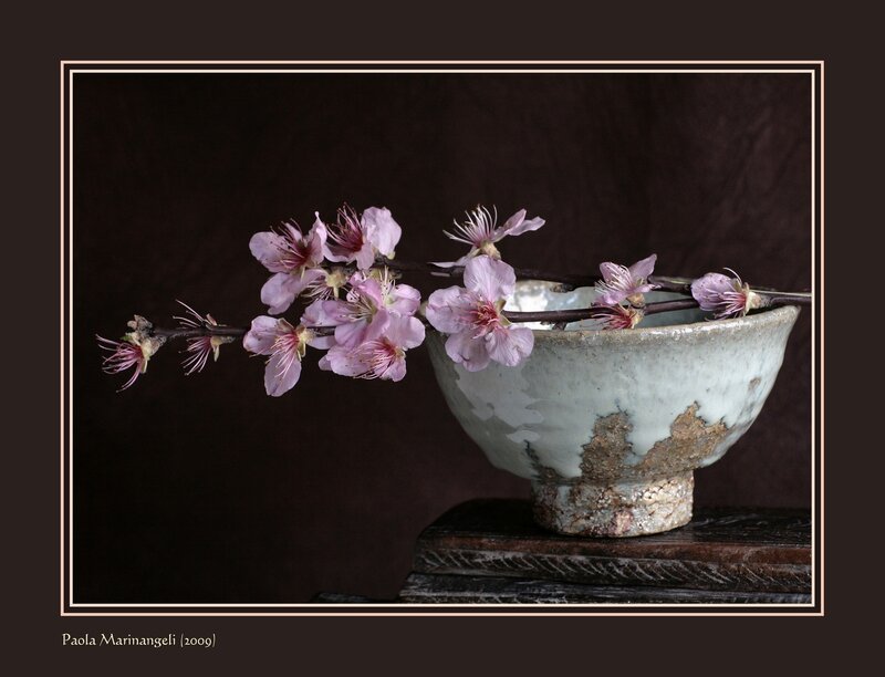 Cherry Blossom Branch — Brown