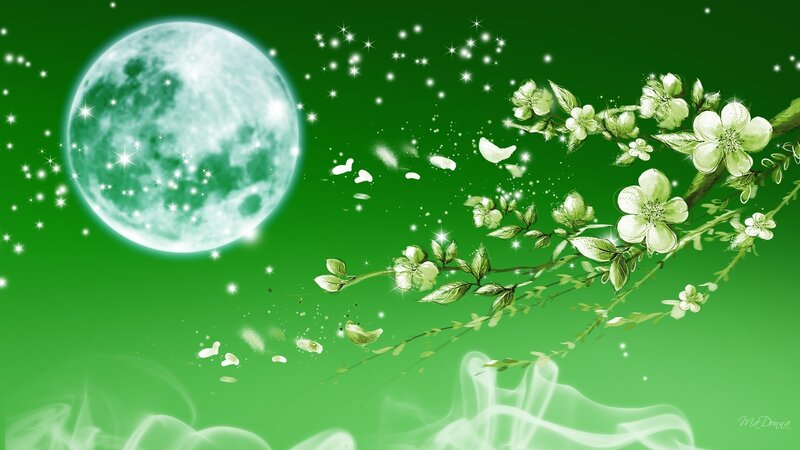 Cherry Blossom Branch — Green