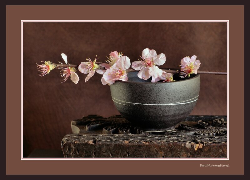 Cherry Blossom Branch in Bowl