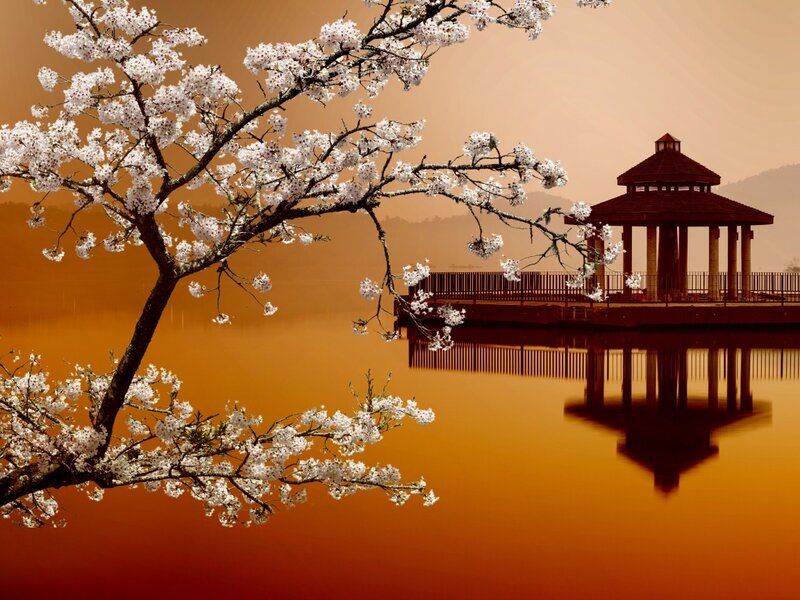 Cherry Blossom Branch — Orange, Serene, Sunset, Photograph, Pavilion, Lake