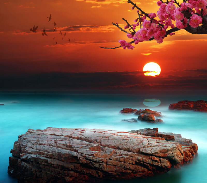 Cherry Blossom Branch — Orange, Serene, Sunset