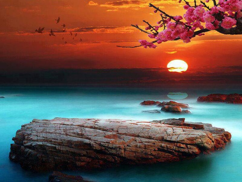 Cherry Blossom Branch — Orange, Serene