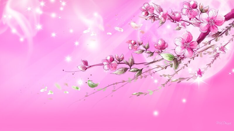 Cherry Blossom Branch — Pink, Dreamy