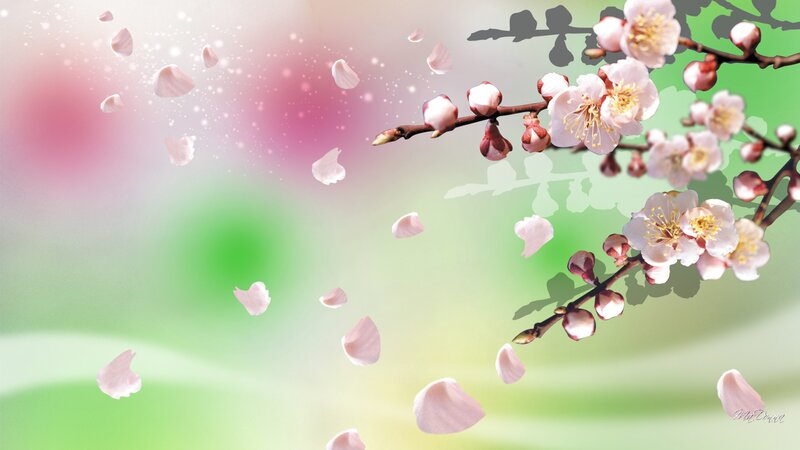 Cherry Blossom Branch — Pink, Serene, Spring, Digital Art, Petals