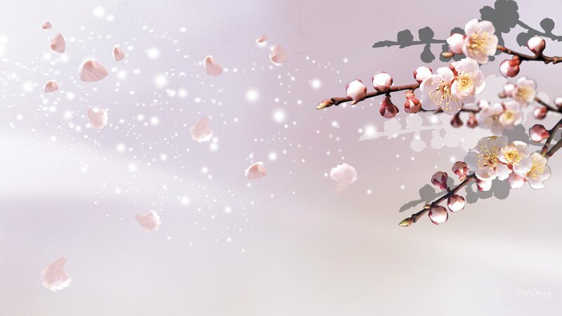 Cherry Blossom Branch — Pink, Serene, Spring, Digital Art