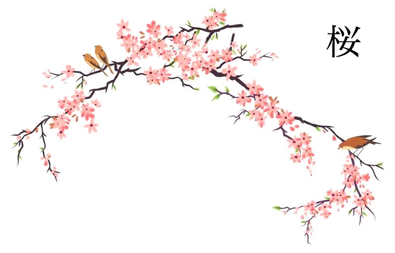 Cherry Blossom Branch — Pink, Serene, Spring, Illustration, Birds