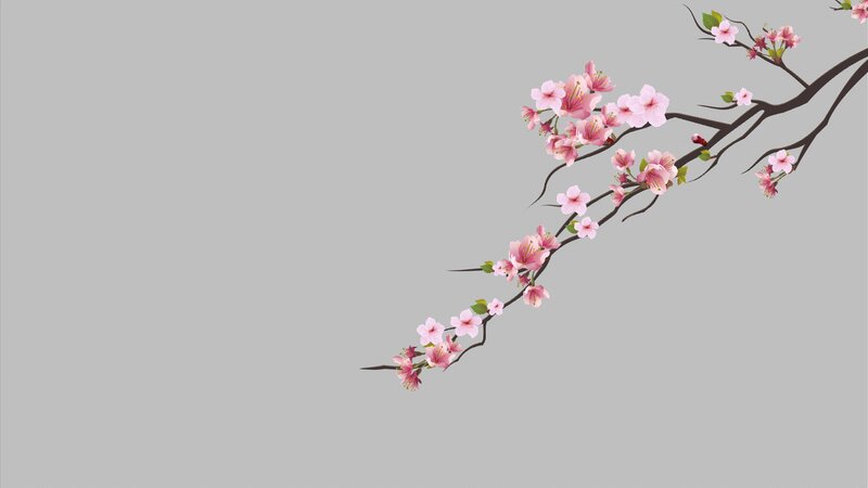Cherry Blossom Branch — Pink, Serene, Spring, Illustration, Flowers, Branches