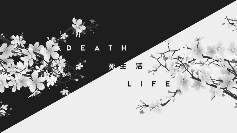 Cherry Blossom Branches — Black, Dramatic, Illustration