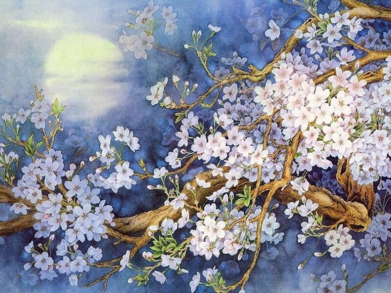 Cherry Blossom Branches — Blue, Serene, Night