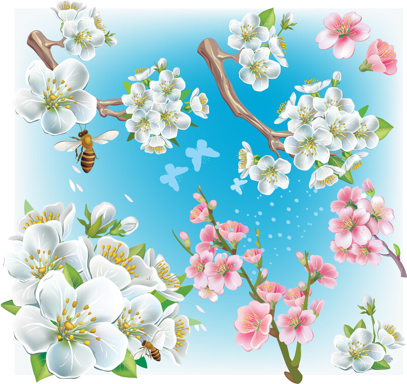 Cherry Blossom Branches — Blue, Serene, Spring, Illustration