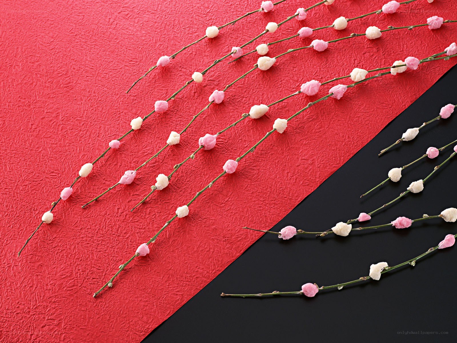 cherry blossom branches on red and black