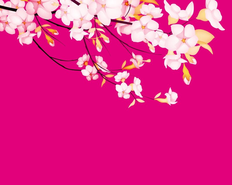 Cherry Blossom Branches — Pink, Calm, Spring, Illustration