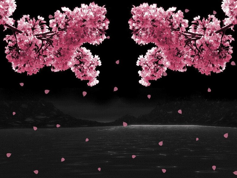Cherry Blossom Branches — Pink, Serene, Night, Digital Art, Flowers, Petals