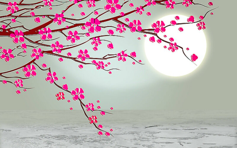 Cherry Blossom Branches — Pink, Serene, Night, Digital Art