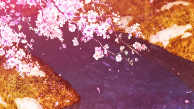 Cherry Blossom Branches — Pink, Serene, Spring, Anime, Flowers