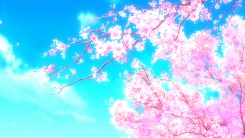 Cherry Blossom Branches — Pink, Serene, Spring, Anime, Sky