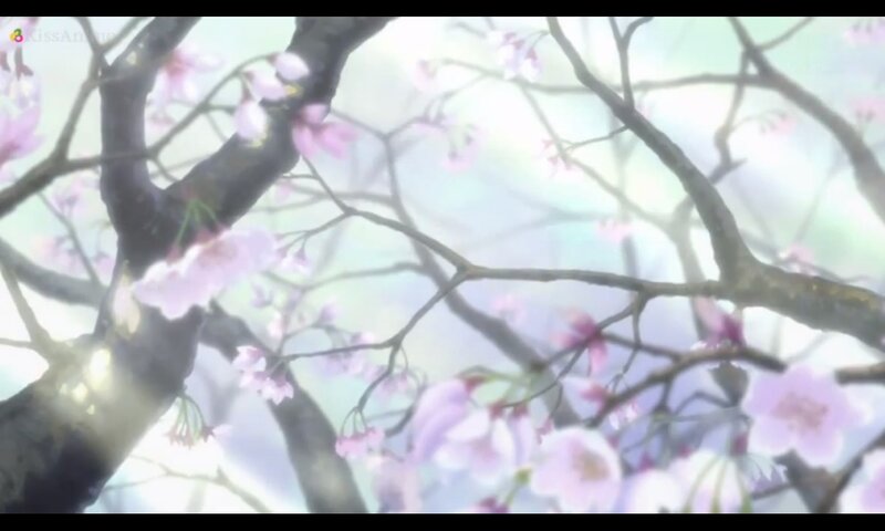 Cherry Blossom Branches — Pink, Serene, Spring, Anime