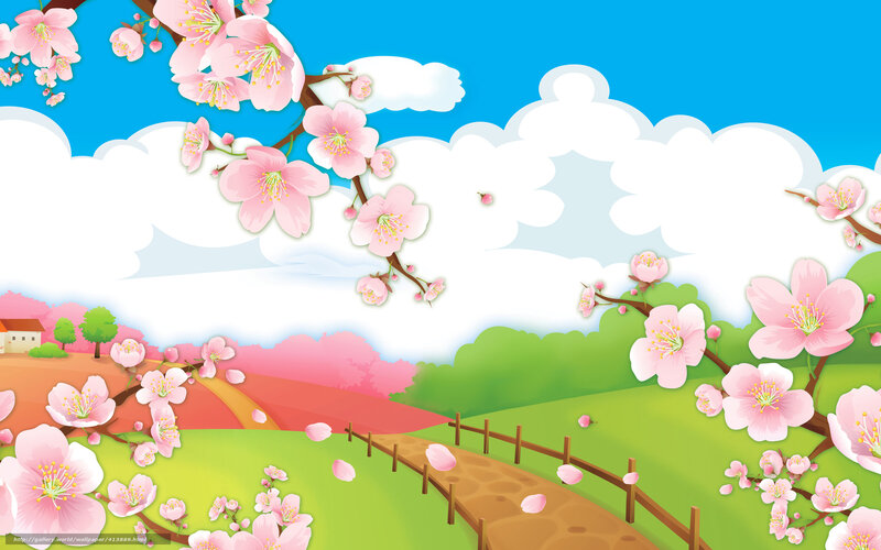 Cherry Blossom Branches — Pink, Serene, Spring, Illustration, Flowers, Path