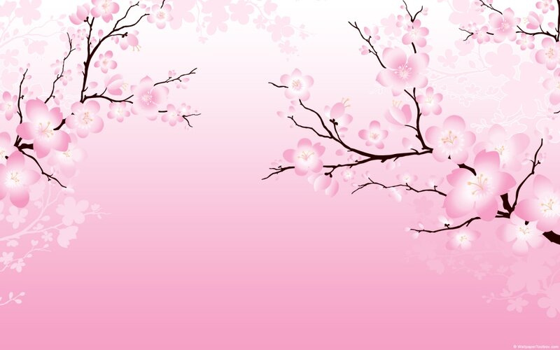 Cherry Blossom Branches — Pink, Serene, Spring, Illustration, Flowers