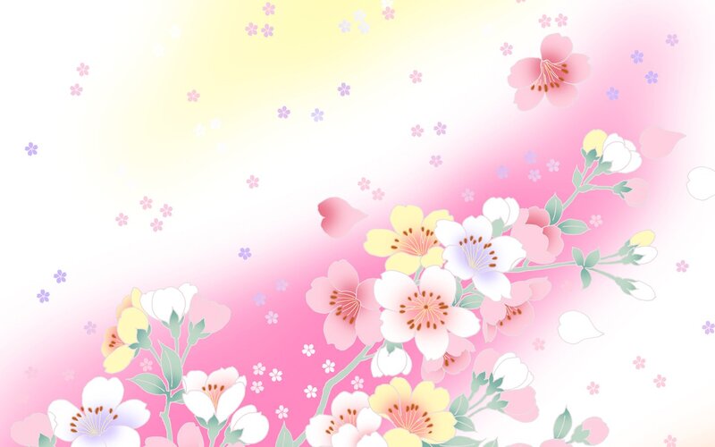 Cherry Blossom Branches — Pink, Serene, Spring, Illustration