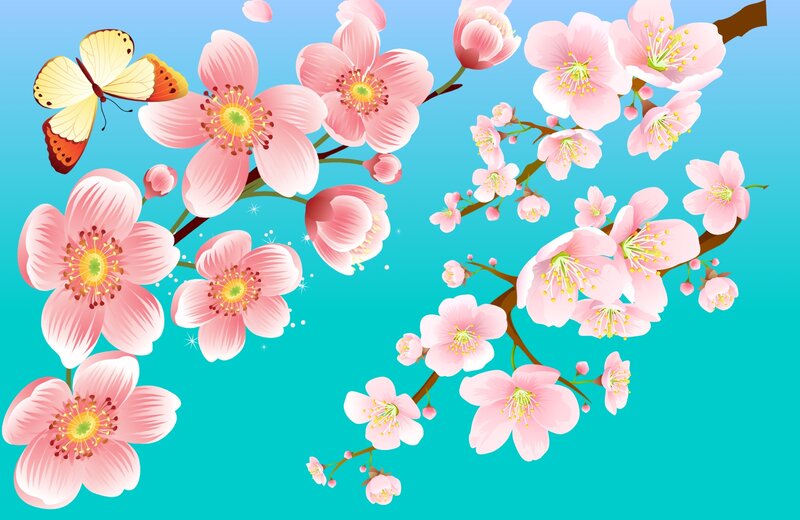 Cherry Blossom Branches — Pink, Serene, Spring, Vector Art