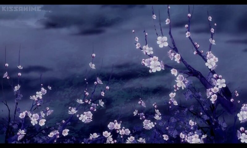 Cherry Blossom Branches — Purple, Serene, Night, Anime