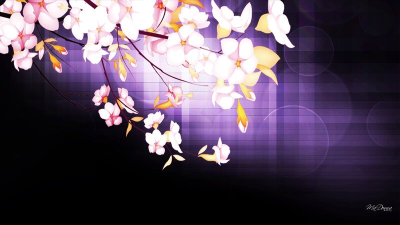 Cherry Blossom Branches — Purple, Serene, Night