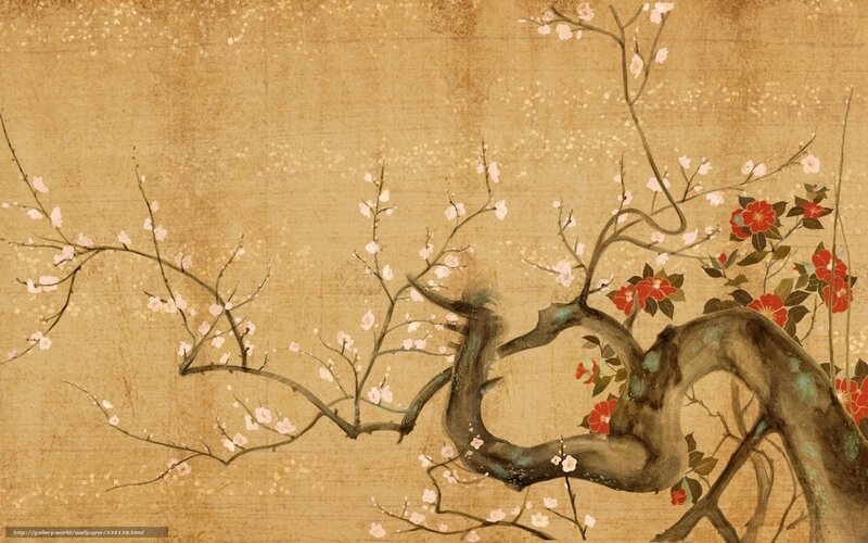 Cherry Blossom Branches