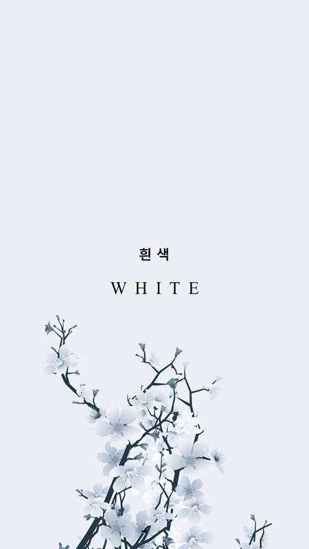 Cherry Blossom Branches — White, Serene, Minimalist