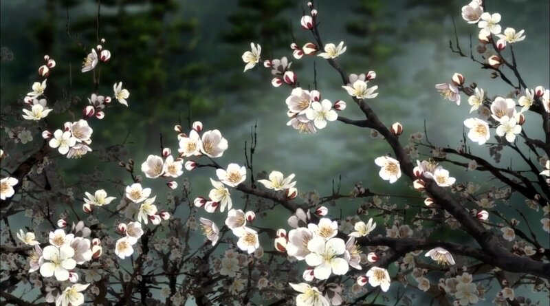 Cherry Blossom Branches — White, Serene, Spring, Anime