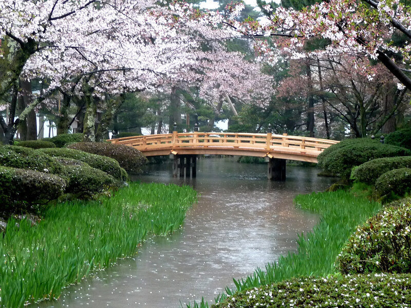 Cherry Blossom Bridge — Green, Serene