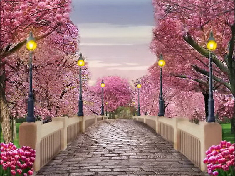 Cherry Blossom Bridge — Pink, Serene, Spring, Digital Art, Street Lamps