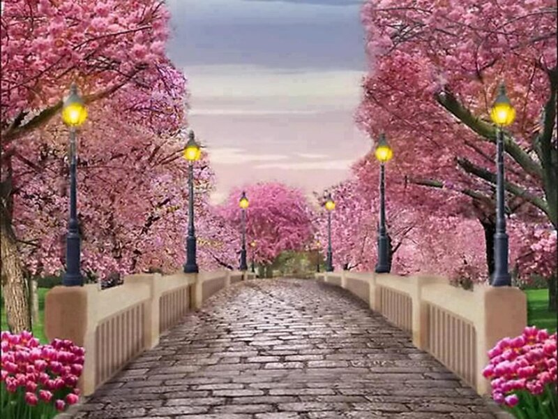Cherry Blossom Bridge — Pink, Serene, Spring