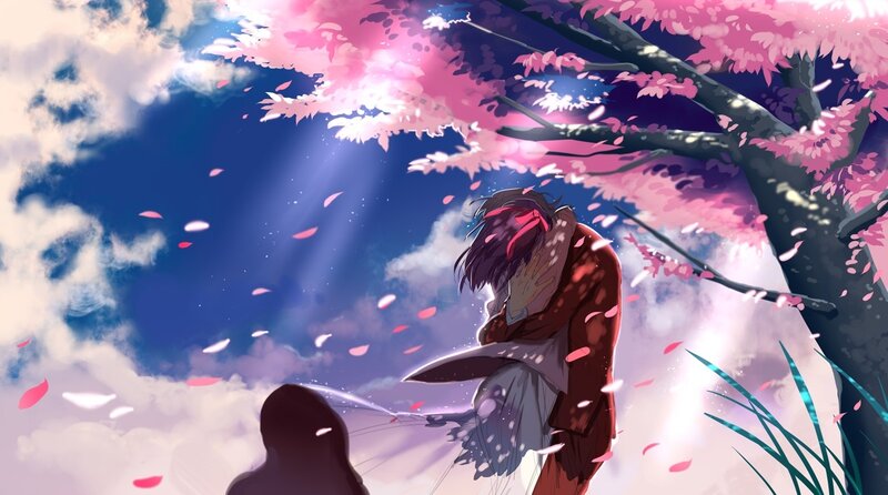 Cherry blossom embrace